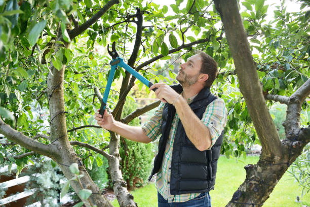 Best Soil Testing and Treatment  in Monmouth, OR